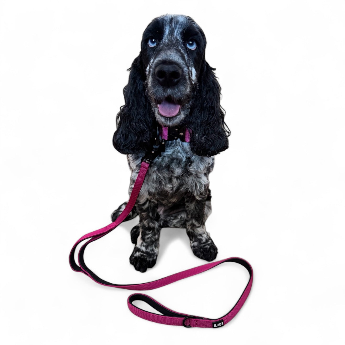Gray Tactical Style Dog Collar
