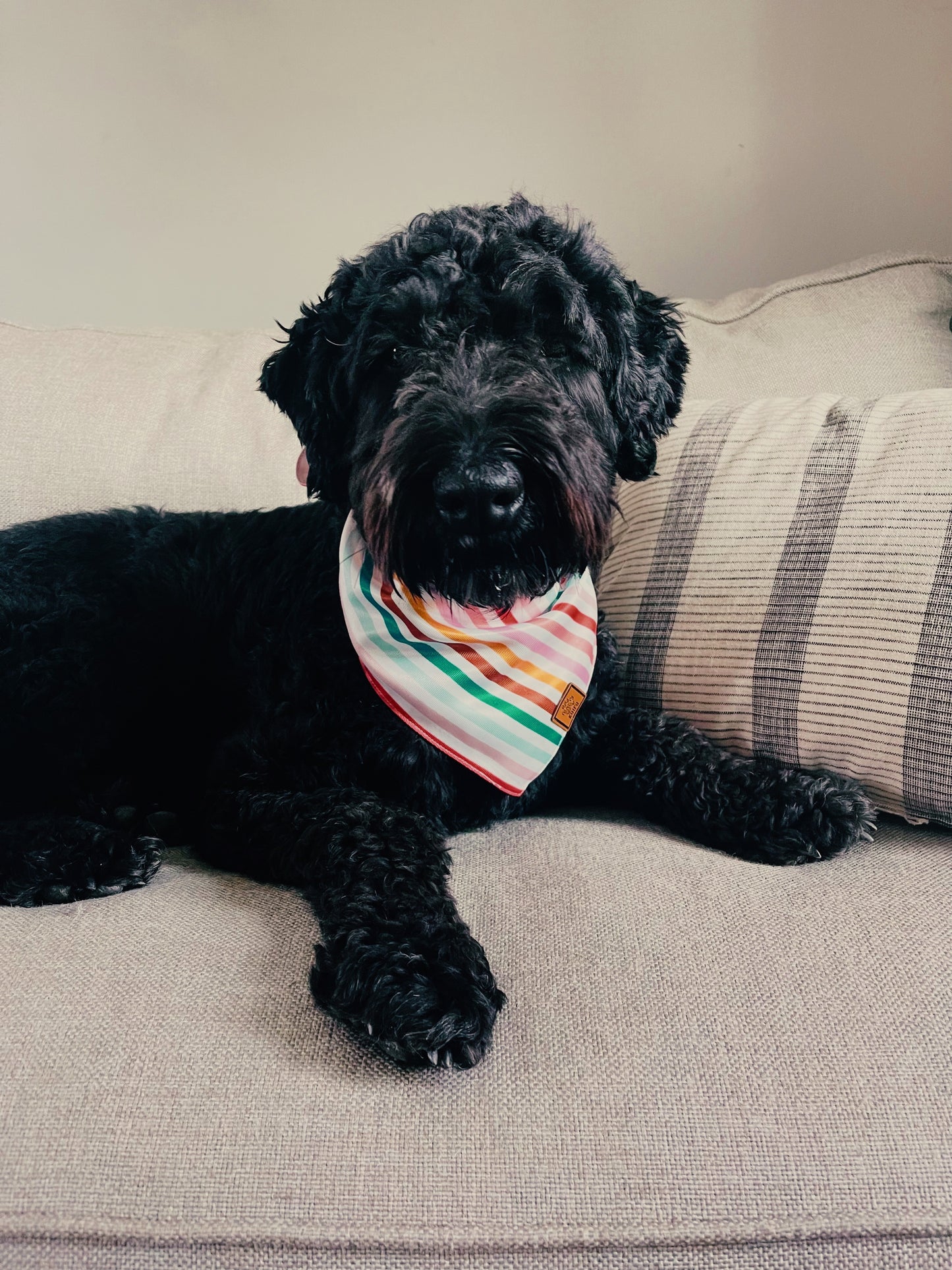 Retro Striped Dog Bandana