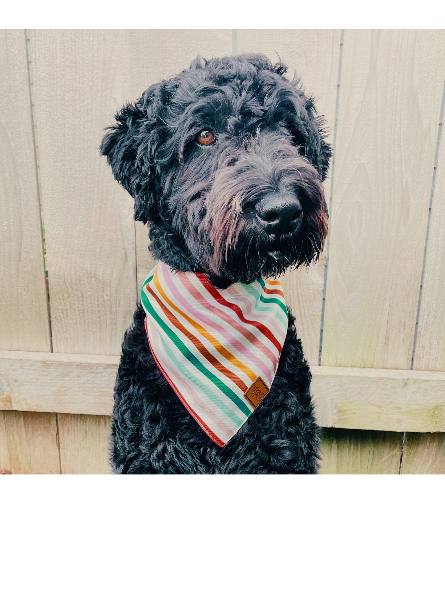 Retro Striped Dog Bandana