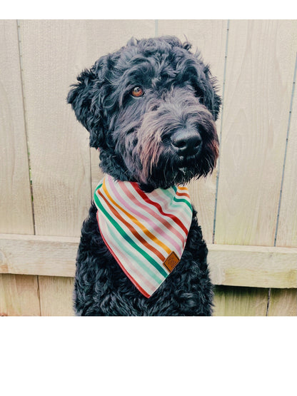 Blue Plaid Dog Bandana