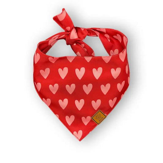 Hearts Dog Bandana