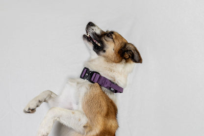 Blue Tactical Style Dog Collar
