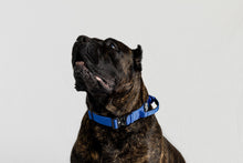 Pink Tactical Style Dog Collar