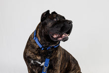 Black Tactical Style Dog Collar