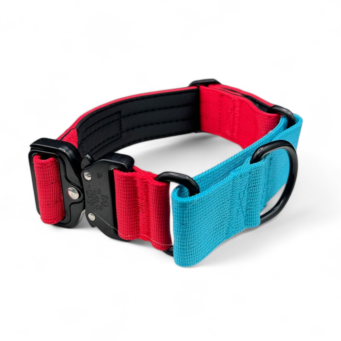 Durable Two-Tone Martingale Dog Collar