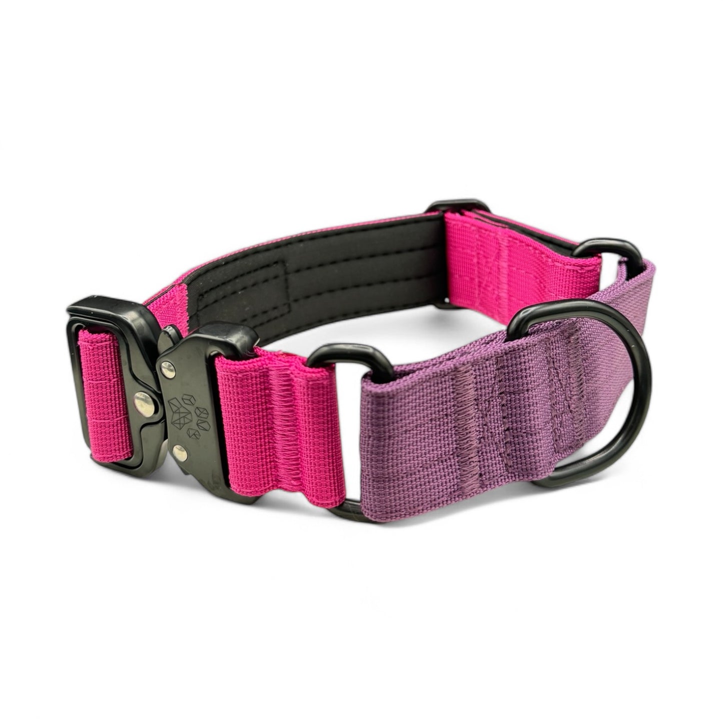 Bold Pink & Purple Two Tone Martingale Dog Collar