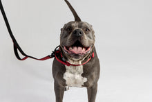 Red Tactical Style Dog Collar