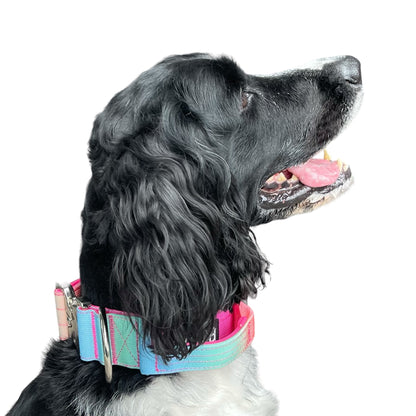 Tactical Dog Collar Teal to Blue Gradient (2"/ 5cm)