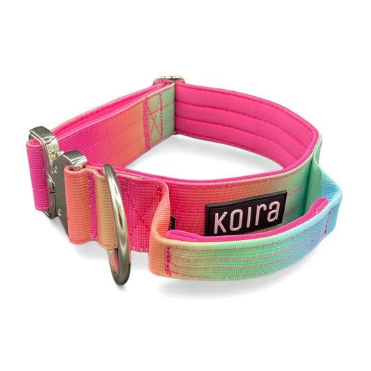 Tactical Dog Collar Pastel Rainbow Gradient (2"/ 5cm)