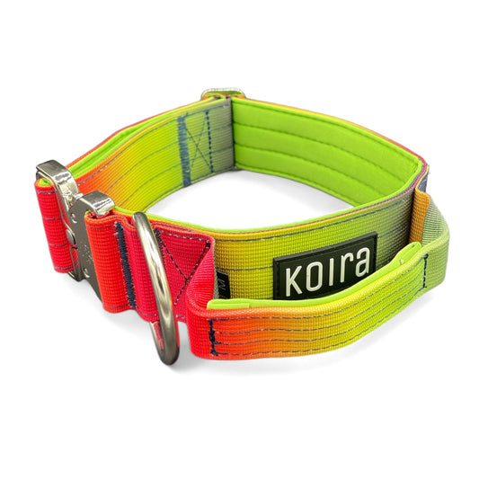 Tactical Dog Collar Rainbow Gradient (2"/ 5cm)