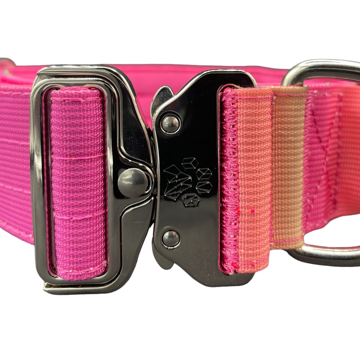 Tactical Dog Collar Pink to Purple Gradient (2"/ 5cm)