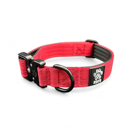 Durable Red Nylon Dog Collar with Metal Buckle