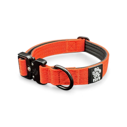 Durable Orange Nylon Dog Collar with Metal Buckle