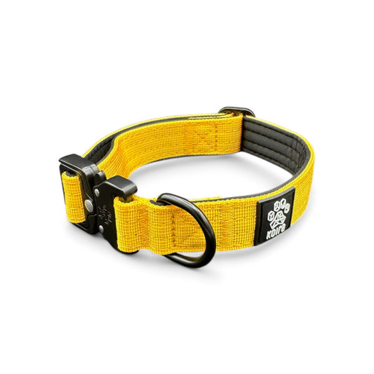 Durable Yellow Nylon Dog Collar with Metal Buckle