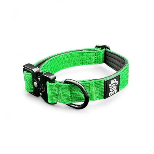 Durable Green Nylon Dog Collar with Metal Buckle