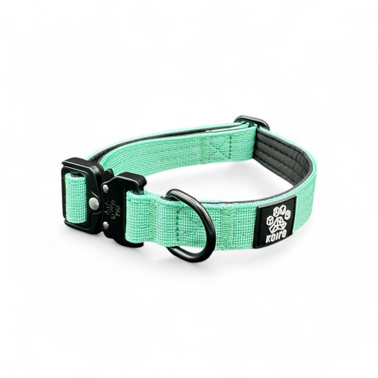 Durable Mint Nylon Dog Collar with Metal Buckle