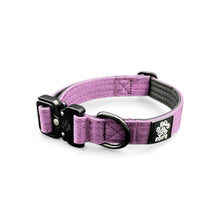 Durable Purple Nylon Dog Collar with Metal Buckle