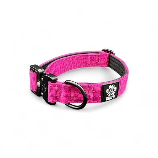 Durable Pink Nylon Dog Collar with Metal Buckle