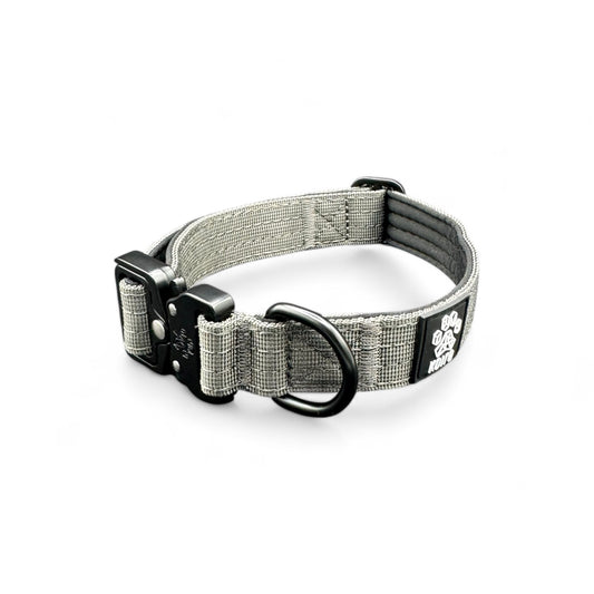 Durable Gray Nylon Dog Collar with Metal Buckle