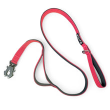 Red Dual-Handle 5 ft Dog Leash
