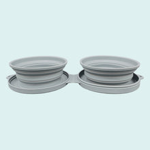 Collapsible Travel Silicone Dog Bowl Set