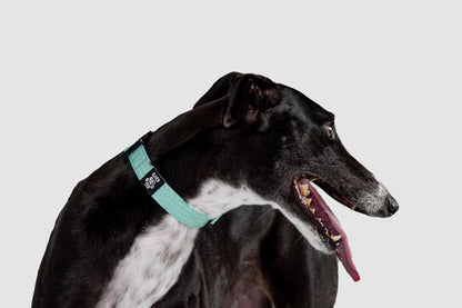 Blue Koira Martingale Dog Collar – Essential Line
