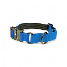 Blue Koira Martingale Dog Collar – Essential Line