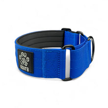 Blue Koira Sighthound Collar – No-Buckle Martingale