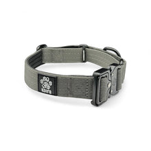 Gray Koira Martingale Dog Collar – Essential Line