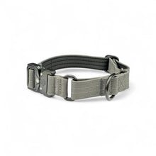 Gray Koira Martingale Dog Collar – Essential Line