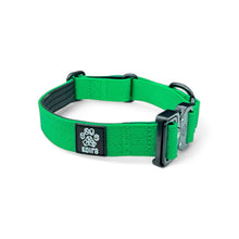 Green Koira Martingale Dog Collar – Essential Line