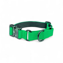 Green Koira Martingale Dog Collar – Essential Line