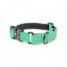 Mint Koira Martingale Dog Collar – Essential Line