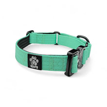 Mint Koira Martingale Dog Collar – Essential Line