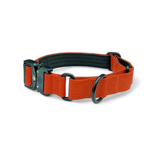 Orange Koira Martingale Dog Collar – Essential Line