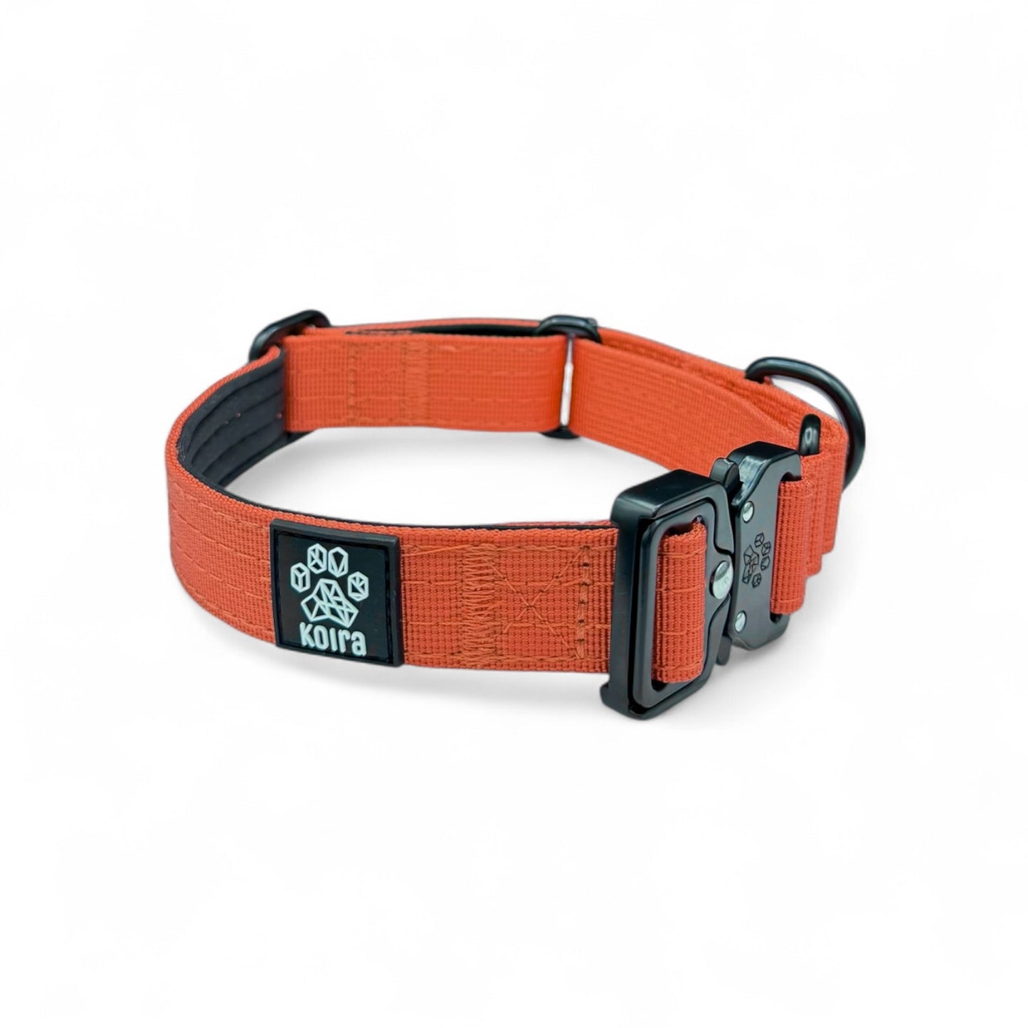 Orange Koira Martingale Dog Collar – Essential Line