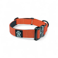 Orange Koira Martingale Dog Collar – Essential Line