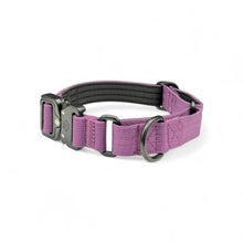 Purple Koira Martingale Dog Collar – Essential Line
