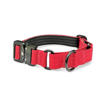 Red Koira Martingale Dog Collar – Essential Line