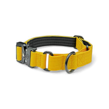 Yellow Koira Martingale Dog Collar – Essential Line
